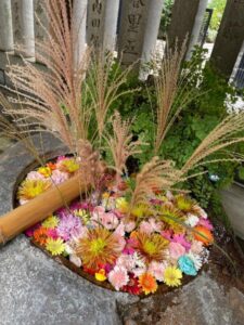 10月の花手水