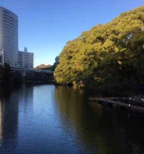 おはようございます🌸