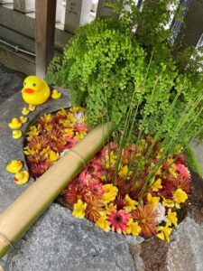 5月の