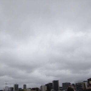 雨上がり🌂