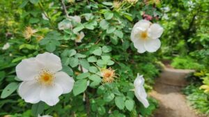 風が強いです🍃