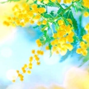 GWありがとう＆次回出勤