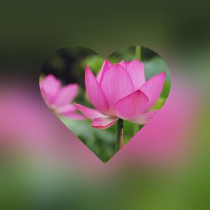 おはようございます😊