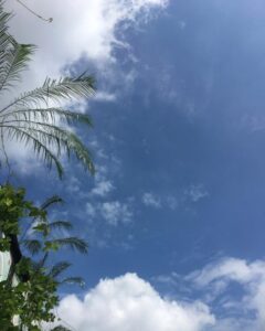 おはようございます🌤