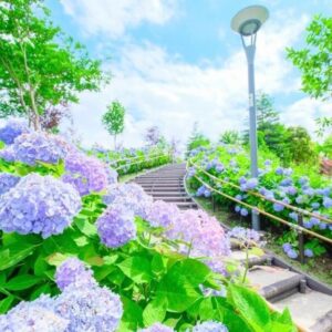 次回の出勤✨