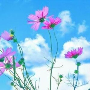 昨日のありがとう💕
