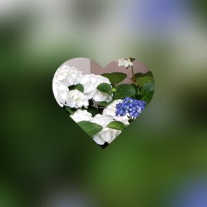 おはようございます😊