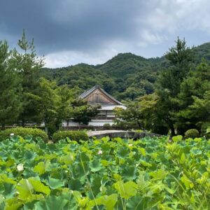 振り返り