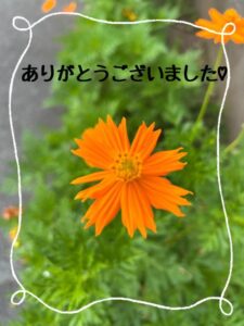 感謝の1日