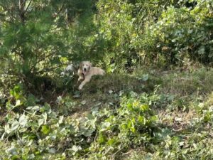 こんばんは！！