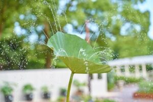今日も涼しかったです🍃