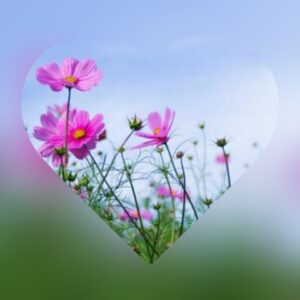 おはようございます😊