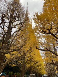 おはようございます！