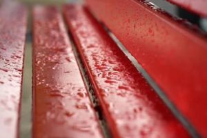 雨がすごかったです☔