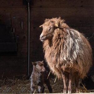 歩くと暑いです💦