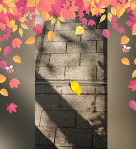 おはようございます😊