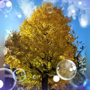 おはようございます😊