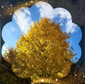 おはようございます😊