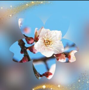 おはようございます😊