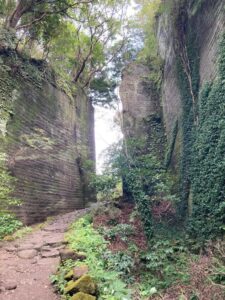 明けましておめでとうございます🎍