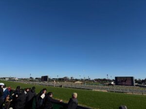 明けましておめでとうございます