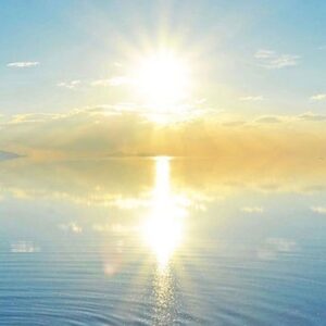 お久しぶりです✨