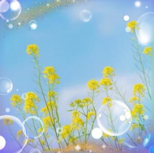 おはようございます😊