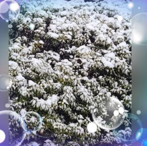 おはようございます😊