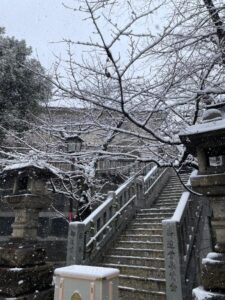 ありがとうございます。