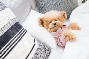 今日は暖かいです☀️