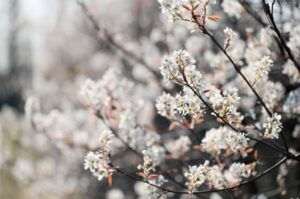 ポカポカ陽気☀️