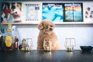 暖かいけど風が強い😣☀️