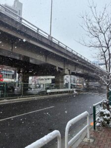 雪やこんこん。