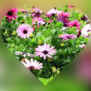 おはようございます😊