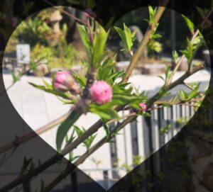 おはようございます😊