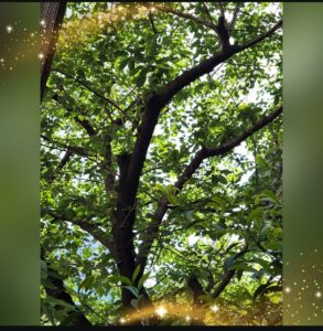 おはようございます😊