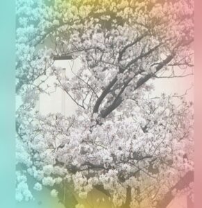 おはようございます😊