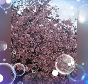 おはようございます😊