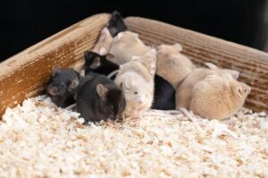 まだ寒いです😵