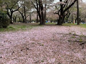 バタバタ4月&hellip;