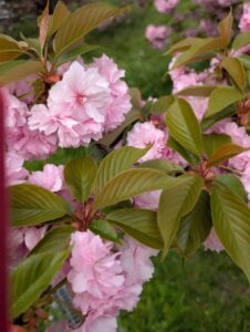 ありがとうございました&hearts;