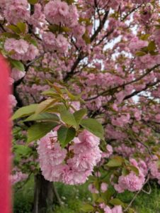 ありがとうございました&hearts;