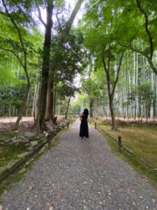 懐かしい〜