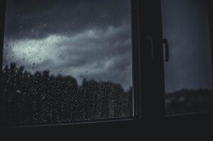 雨が止んで少し肌寒い&hellip;。