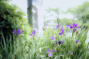 少し寒いです…。