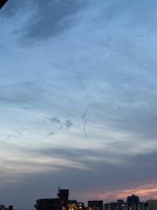 龍？