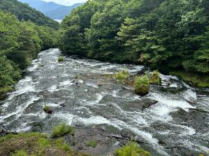 夏の足音