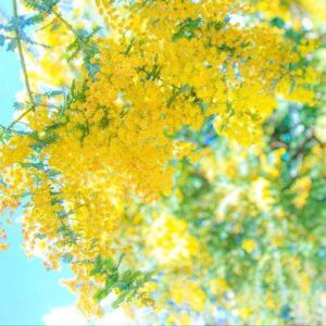 明日出勤✨