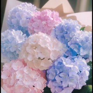 ♡雨の日のひとやすみに&hellip;♡