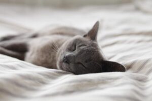 眠い&hellip;。